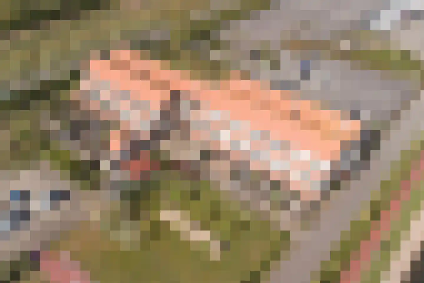 Jachthavenweg 36 Bruinisse thumbnail 24
