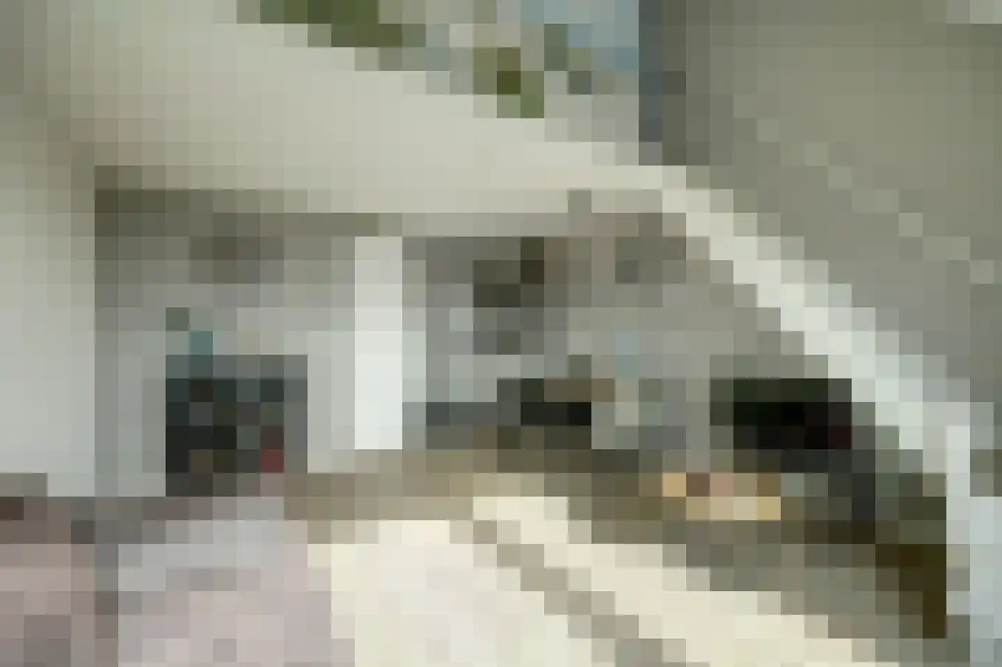 Jachthavenweg 36 Bruinisse thumbnail 8