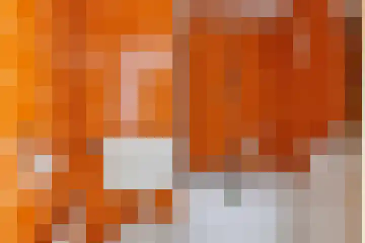 Jachthavenweg 56 Bruinisse thumbnail 10