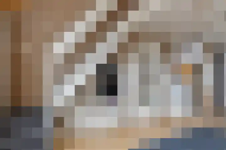 Jachthavenweg 56 Bruinisse thumbnail 16