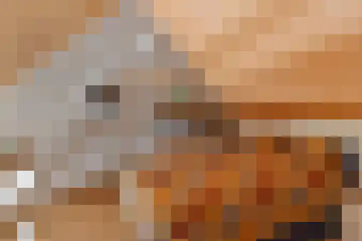 Jachthavenweg 56 Bruinisse thumbnail 18