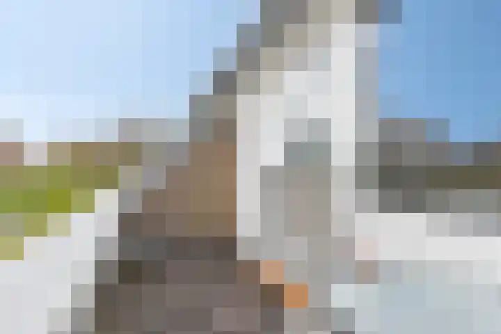 Jachthavenweg 56 Bruinisse thumbnail 22