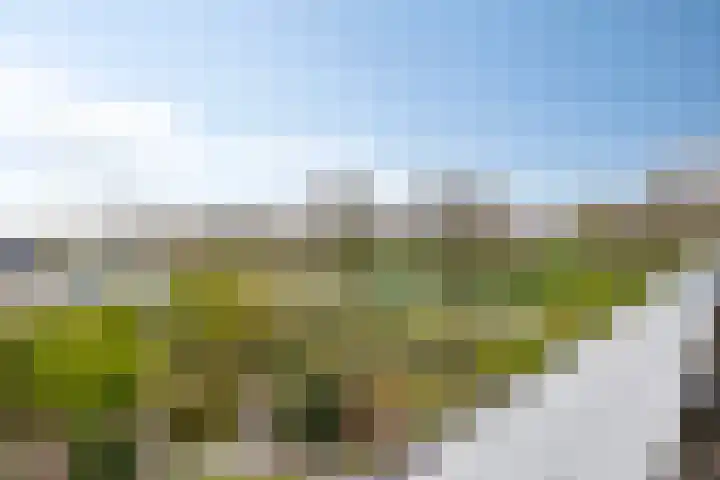 Jachthavenweg 56 Bruinisse thumbnail 23