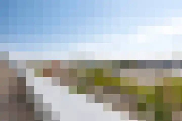 Jachthavenweg 56 Bruinisse thumbnail 24
