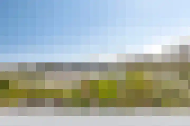Jachthavenweg 56 Bruinisse thumbnail 25