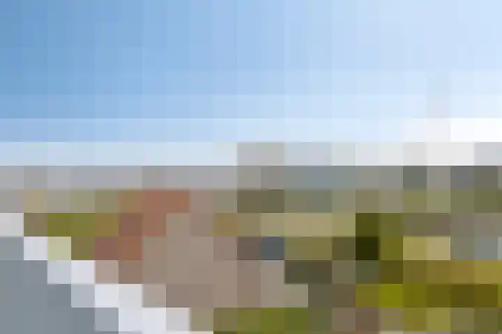 Jachthavenweg 56 Bruinisse thumbnail 26