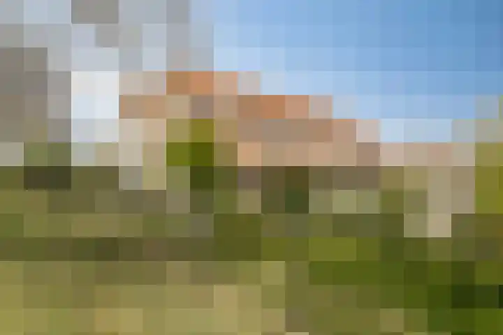 Jachthavenweg 56 Bruinisse thumbnail 29