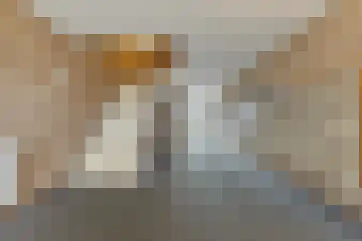 Jachthavenweg 56 Bruinisse thumbnail 6