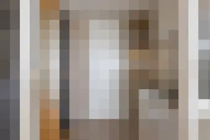Jachthavenweg 56 Bruinisse thumbnail 8