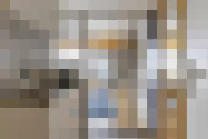 Jachthavenweg 56 Bruinisse thumbnail 9