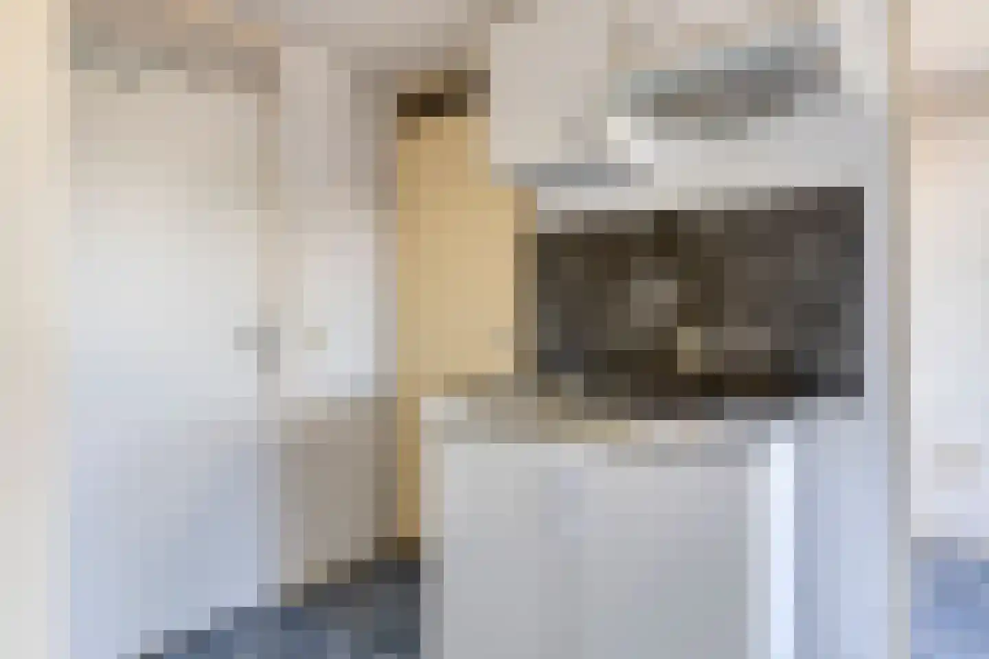 Jachthavenweg 59 Bruinisse thumbnail 11