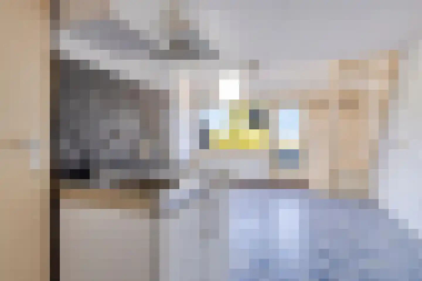 Jachthavenweg 59 Bruinisse thumbnail 14