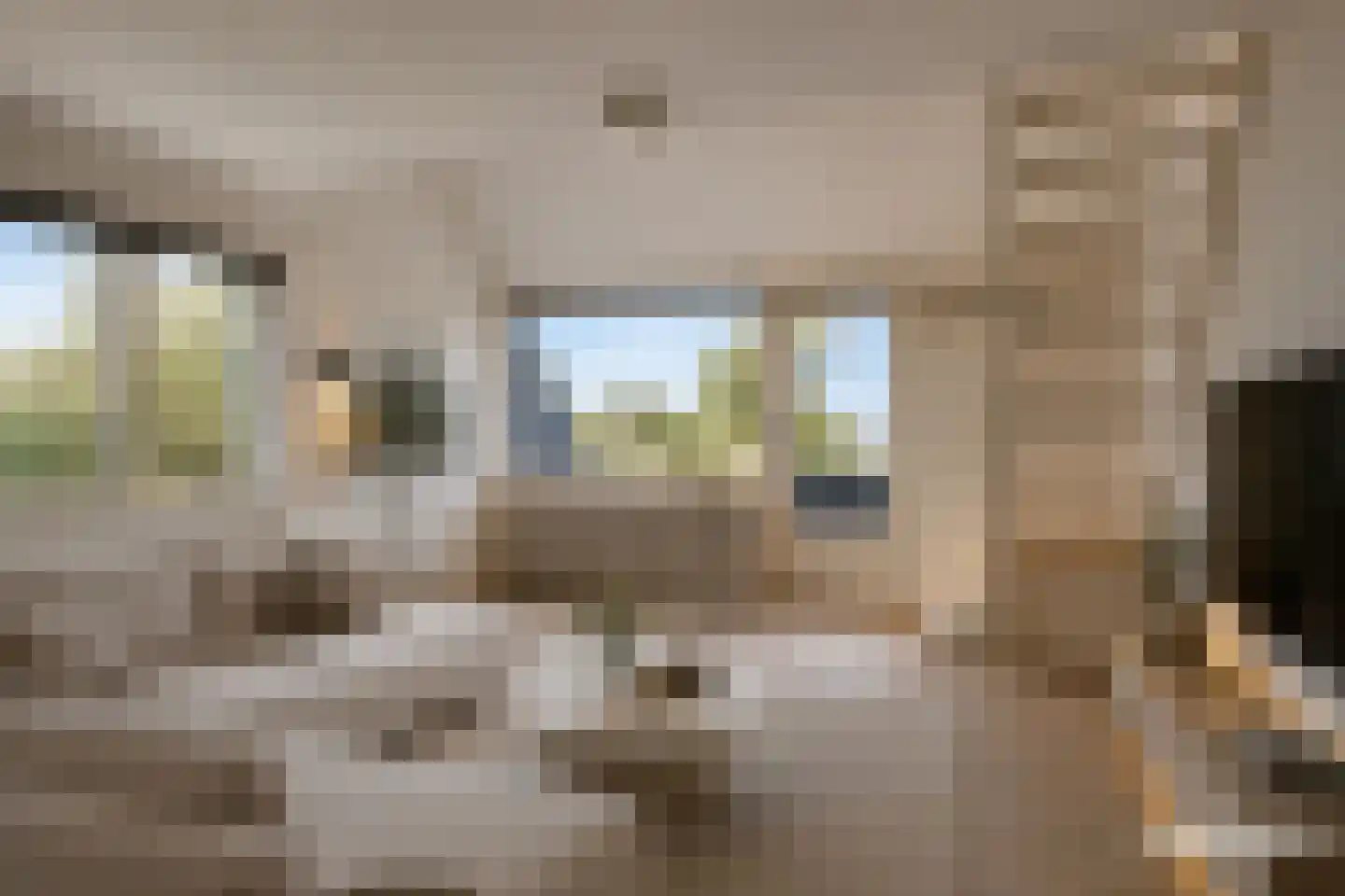 Jachthavenweg 59 Bruinisse thumbnail 16