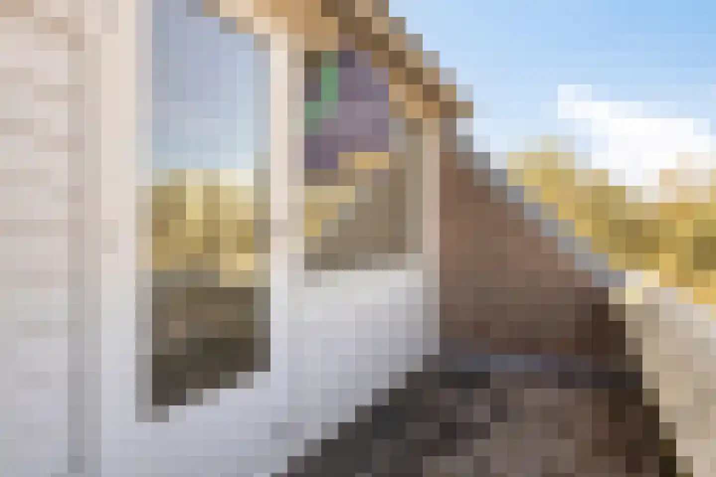 Jachthavenweg 59 Bruinisse thumbnail 20