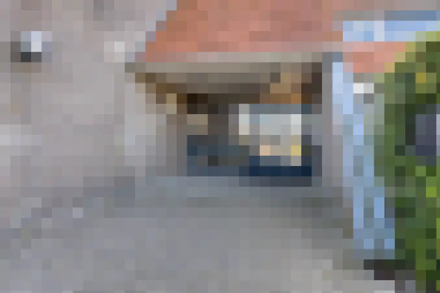 Jachthavenweg 59 Bruinisse thumbnail 7
