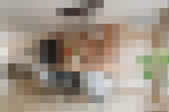Jachtheuvel 24 Best thumbnail 18