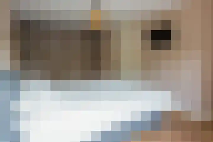 Jachtheuvel 24 Best thumbnail 27