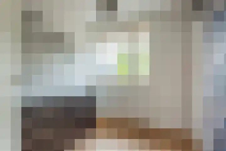 Jachtheuvel 24 Best thumbnail 28