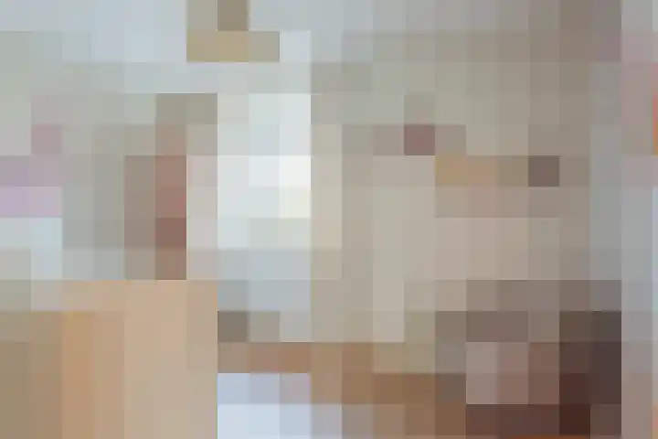Jachtheuvel 24 Best thumbnail 29