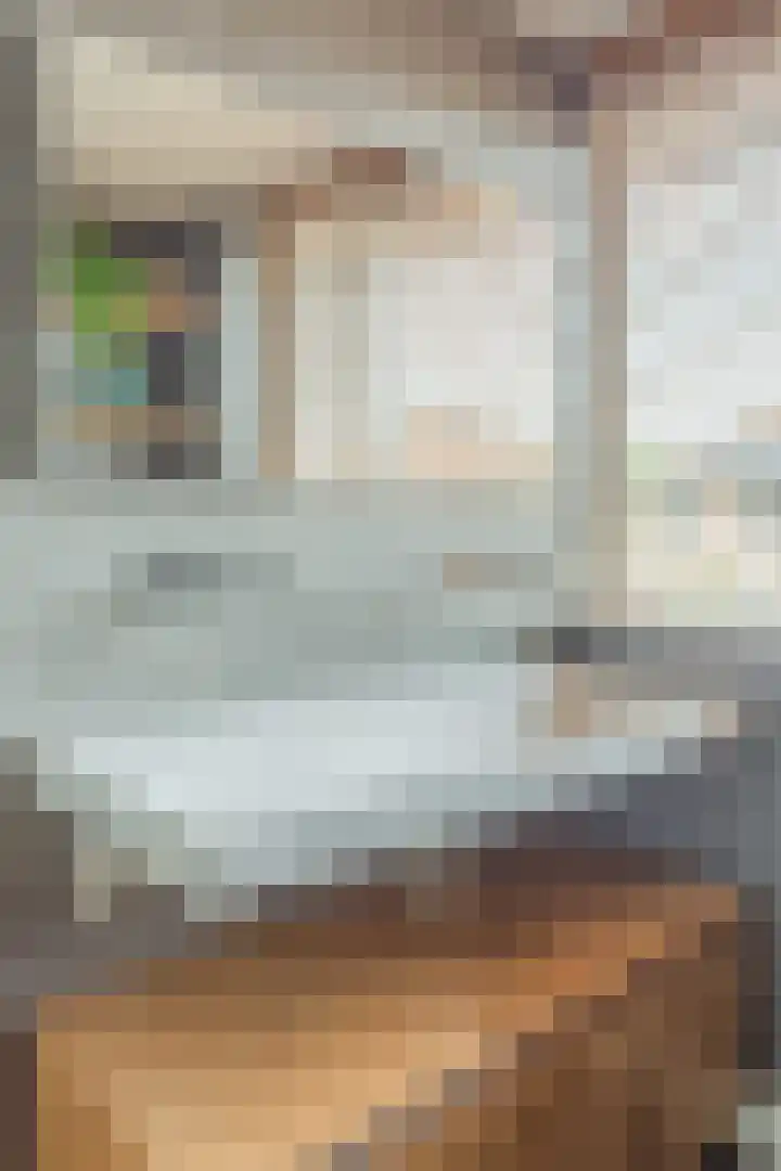 Jachtheuvel 24 Best thumbnail 35