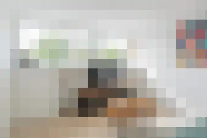 Jachtheuvel 24 Best thumbnail 45