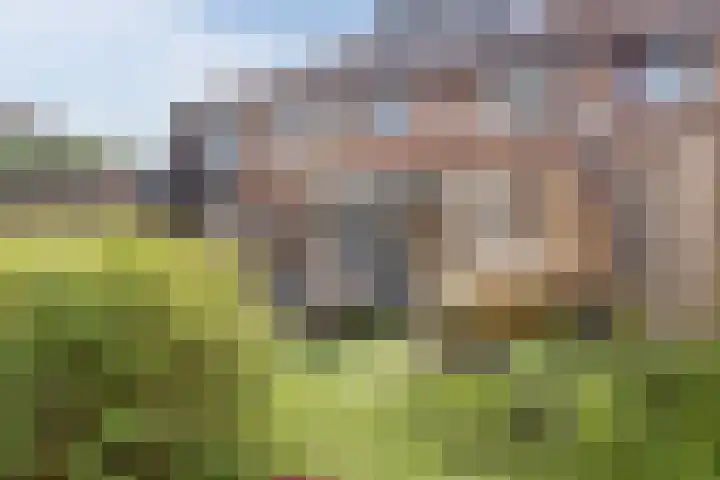 Jachtheuvel 24 Best thumbnail 48