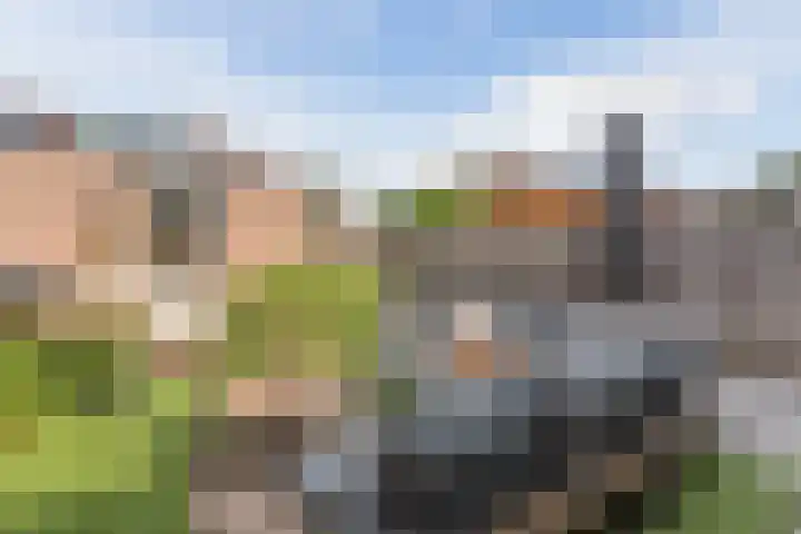 Jachtheuvel 24 Best thumbnail 49