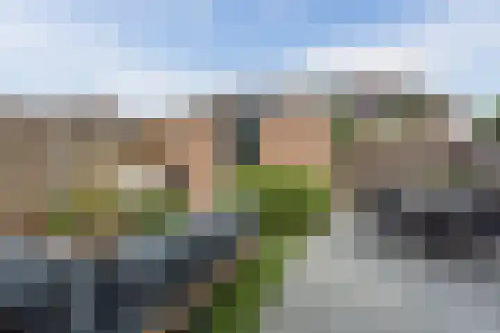 Jachtheuvel 24 Best thumbnail 50