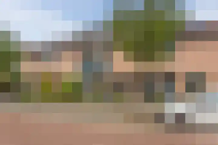 Jachtheuvel 24 Best thumbnail 9