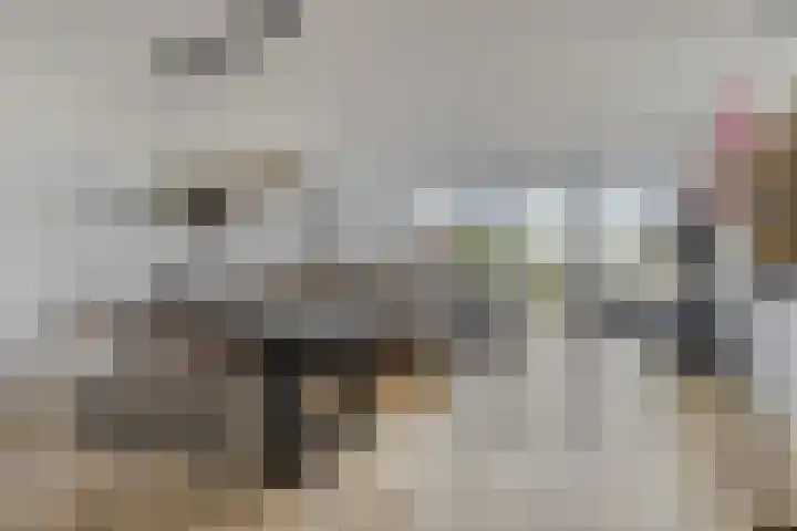 Jachthoek 6 Zuidland thumbnail 10