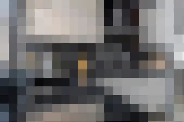 Jachthoek 6 Zuidland thumbnail 12