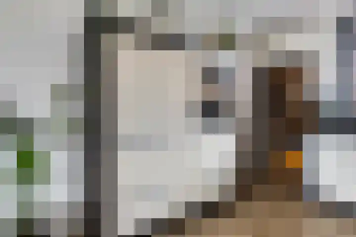 Jachthoek 6 Zuidland thumbnail 13