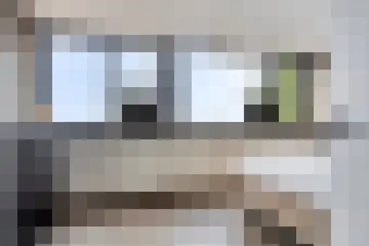 Jachthoek 6 Zuidland thumbnail 14