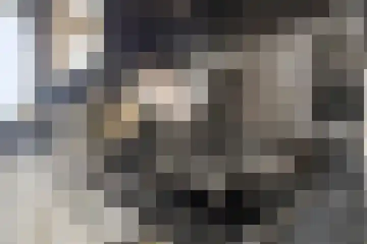 Jachthoek 6 Zuidland thumbnail 15