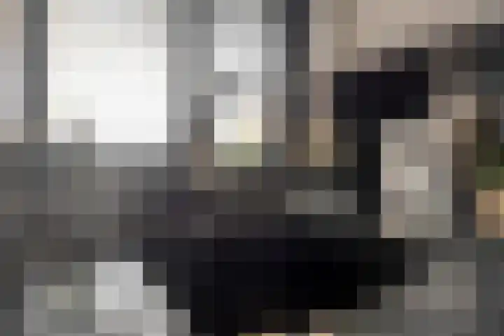 Jachthoek 6 Zuidland thumbnail 16