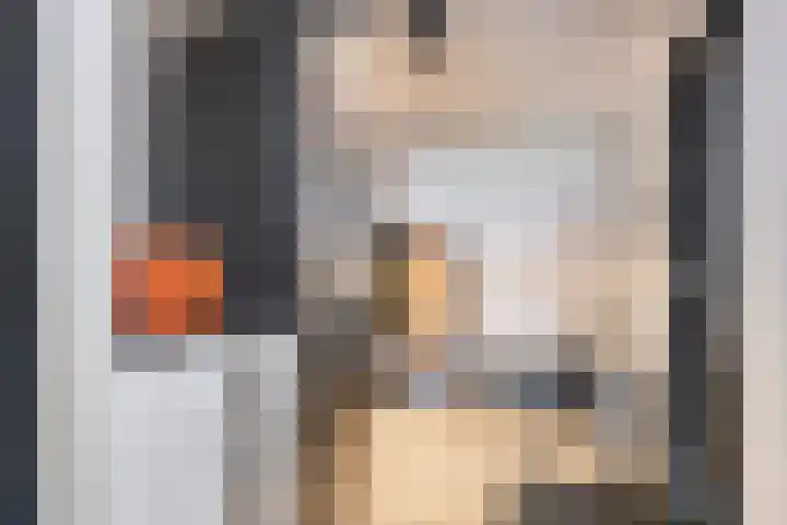 Jachthoek 6 Zuidland thumbnail 17
