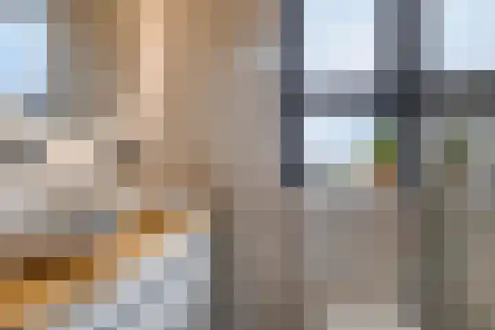 Jachthoek 6 Zuidland thumbnail 18