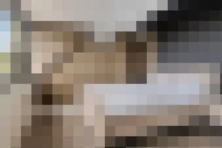 Jachthoek 6 Zuidland thumbnail 19
