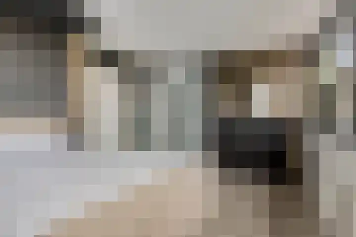 Jachthoek 6 Zuidland thumbnail 20