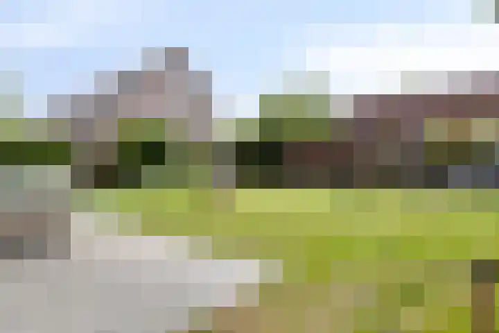 Jachthoek 6 Zuidland thumbnail 29