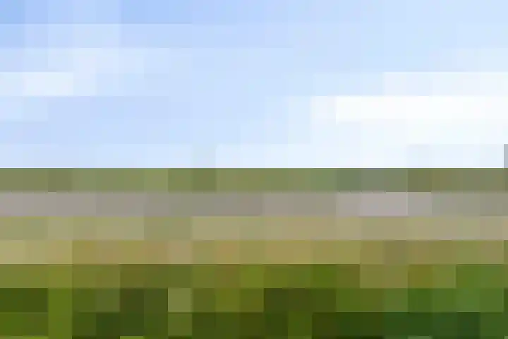 Jachthoek 6 Zuidland thumbnail 30