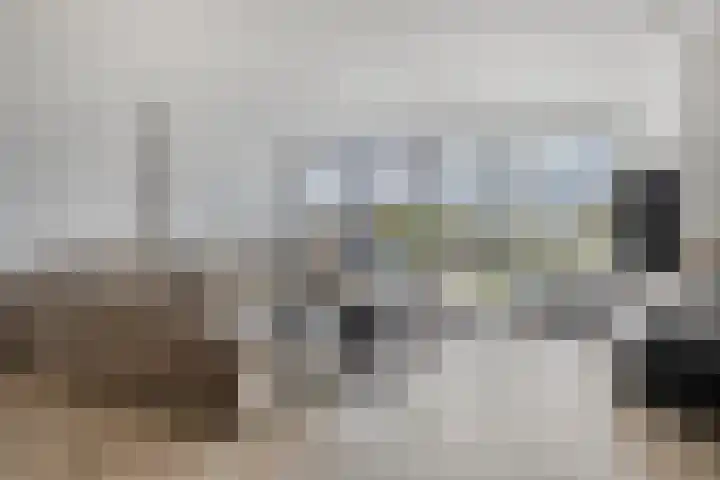 Jachthoek 6 Zuidland thumbnail 4