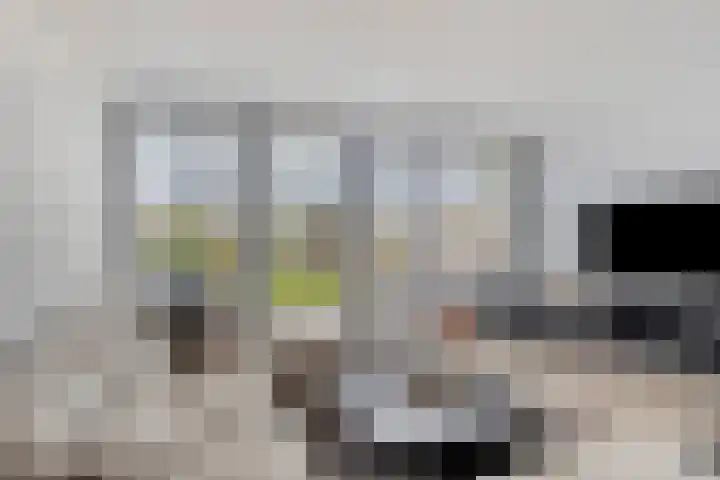 Jachthoek 6 Zuidland thumbnail 5