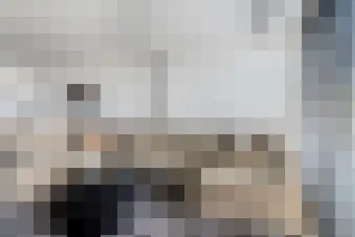 Jachthoek 6 Zuidland thumbnail 7