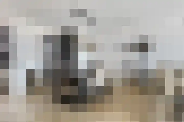 Jachthoek 6 Zuidland thumbnail 8