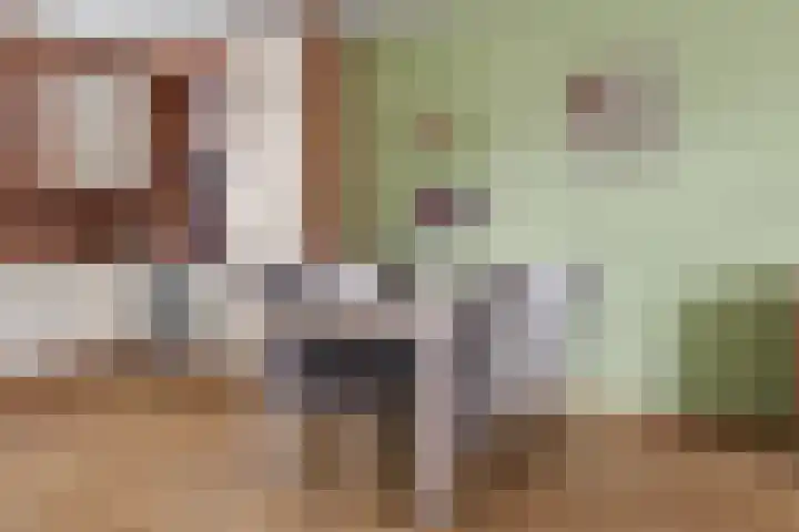 Jachthoeve 20 Houten thumbnail 10