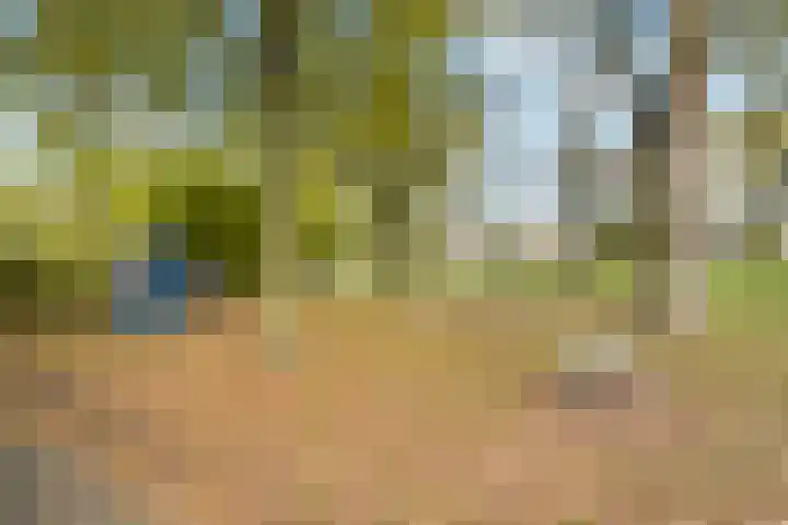 Jachthoeve 20 Houten thumbnail 29