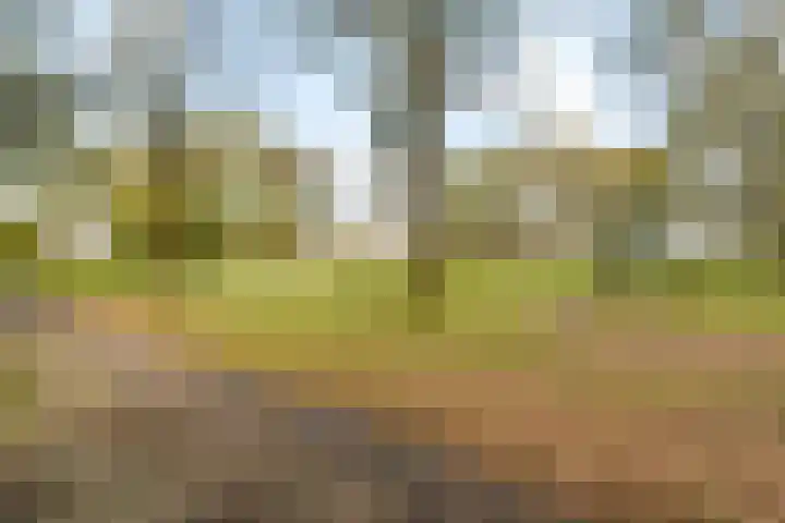 Jachthoeve 20 Houten thumbnail 30