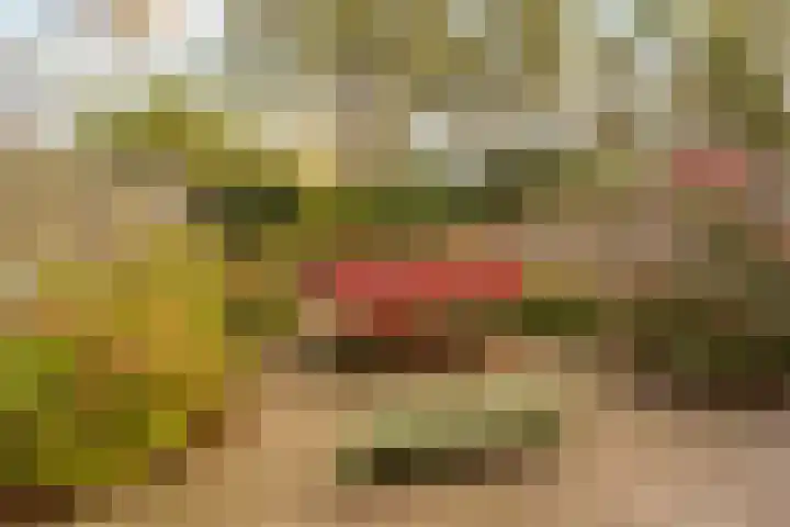 Jachthoeve 20 Houten thumbnail 7