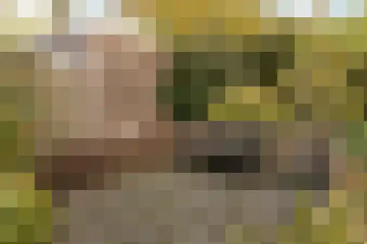 Jachthoeve 20 Houten thumbnail 8